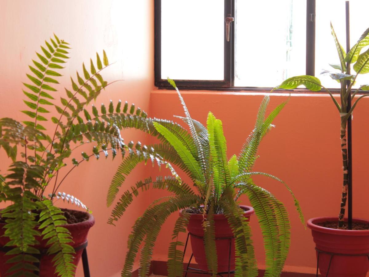 Hotel Galaxia Oaxaca 外观 照片